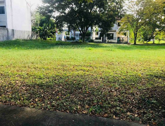 160 sqm for sale Exclusive Residential Vacant Lot by Palma Real Residential Estates in Binan Laguna