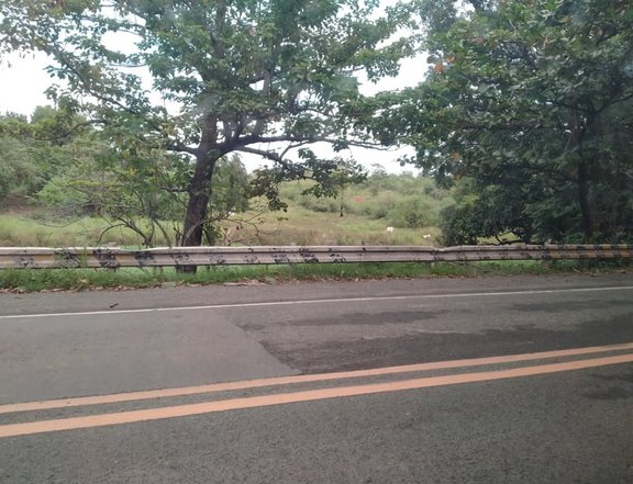 2.6 hectares Commercial Lot For Sale in Pililla Rizal