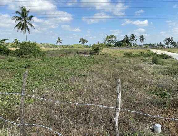 1800sqm Lot for sale 35m frontage to East West Road, Amadeo. P12k/sqm