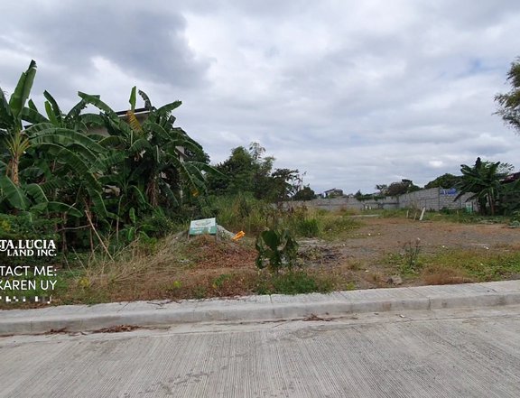 Lot for sale Meadowood Royale Antipolo by Sta Lucia