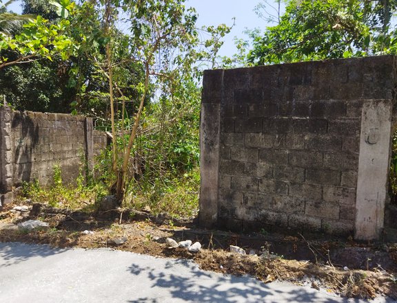 1,229 sqm Residential Lot For Sale in Dasmarinas Cavite