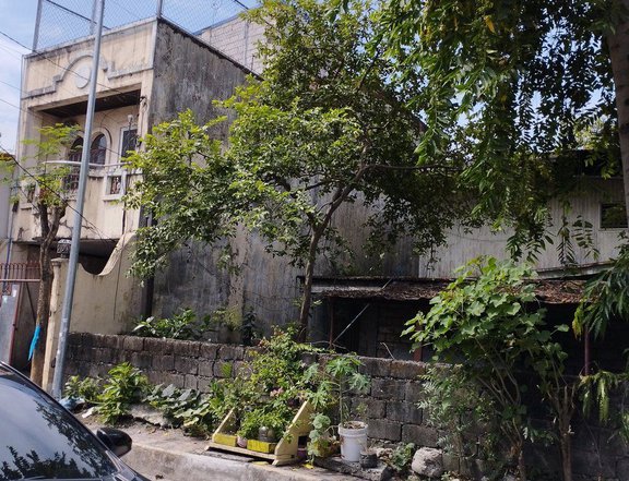 Residential Lot with Old Structure in Manggahan, Pasig City