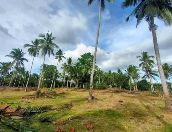 100 sqm raw Land for Residential and Investment in Lipa Batangas