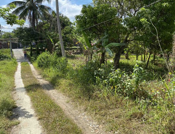 Titled 1000sqm lot 25m frontage to Crisanto. Amadeo. P15k/sqm