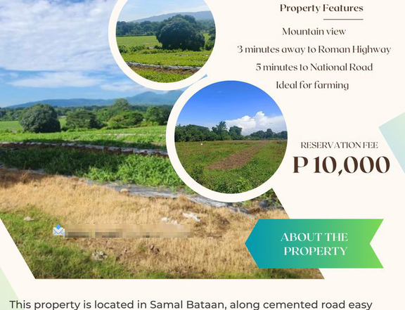 Farm Lot Investment in Samal Bataan