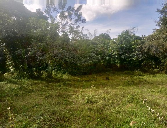 Farm Lot for retirement investment or vacation house near Tagaytay