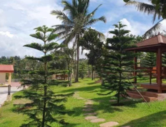 5,000sqms - 5BR  House & Lot Mansion for SALE in Alfonso Cavite