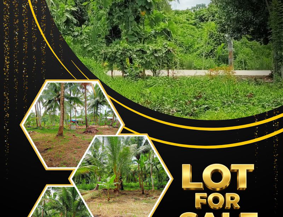 1,100 sqm Farm Lot For Sale in Butuan Agusan Del Norte