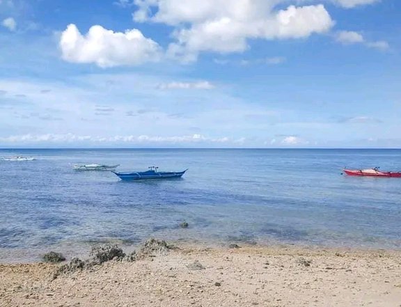 250 sqm Beach Property For Sale in Tabuelan Cebu