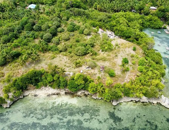 300 sqm Beach Front Property For Sale in Tabogon Cebu