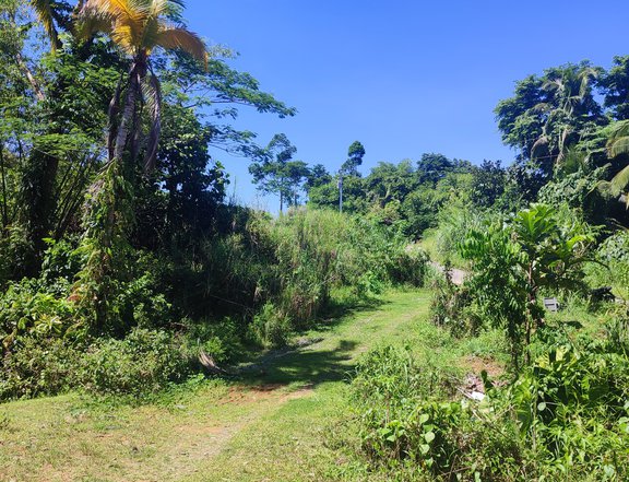 Stunning 2600 sqm lot in an upcoming area of Tandag, Surigao Del Sur