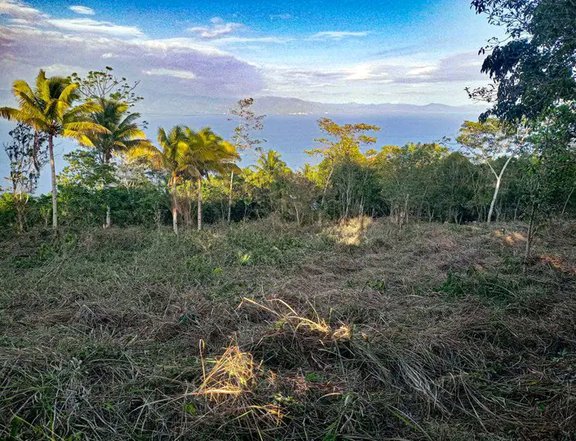 2,600 sqm overlooking lot for sale in Samal Davao del Norte