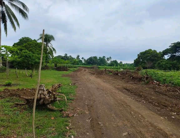 Titled Resi- Farm lot for sale in Indang Cavite