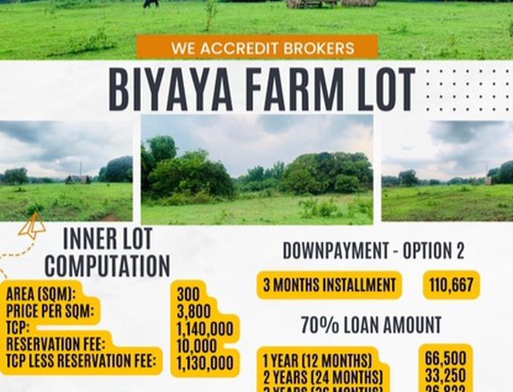 minimum 300sqm cut Farm Lot with free kubo for every client with 30% dp or total TCP