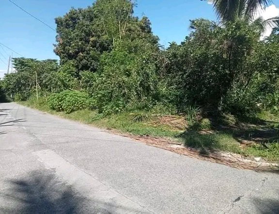 Lot for Sale at laurel Batangas