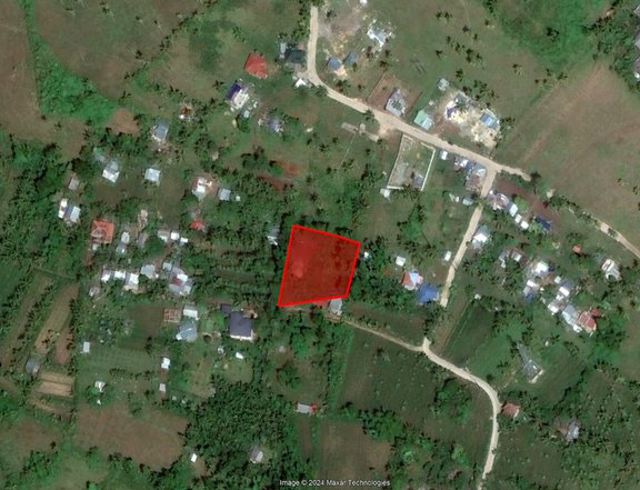 1,850 sqm Residential Farm For Sale in Dumanjug Cebu