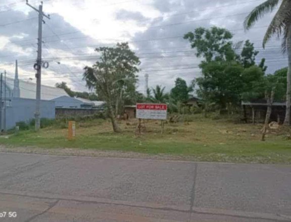 925 sqm Residential Lot For Sale in Dauis Bohol