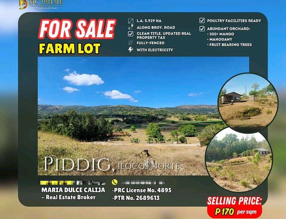 5.9 sqm Agricultural Farm For Sale in Piddig Ilocos Norte