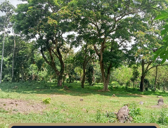 9,768 sqm Agricultural Farm For Sale in Padre Garcia Batangas