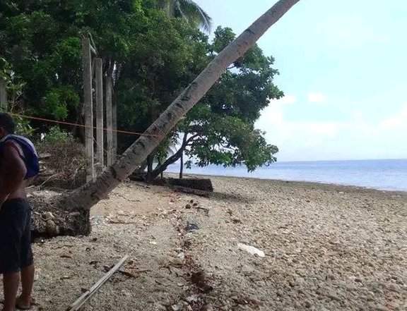 135 sqm Beach Property For Sale in Poro Cebu