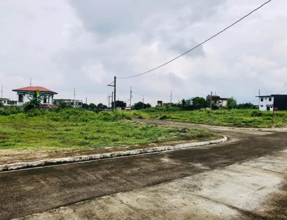 RESIDENT LOT ONLY | ALONG HIGHWAY, MALLS, MARKETS SCHOOL| SECURED |HAS  GUARDHOUSE