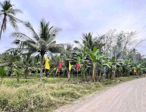 150sqm residential lot Benigwayan Alubijid installment
