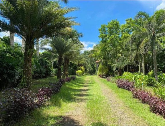 Well-Maintained 1 Hectare Farm Lot in Bay, Laguna For Sale