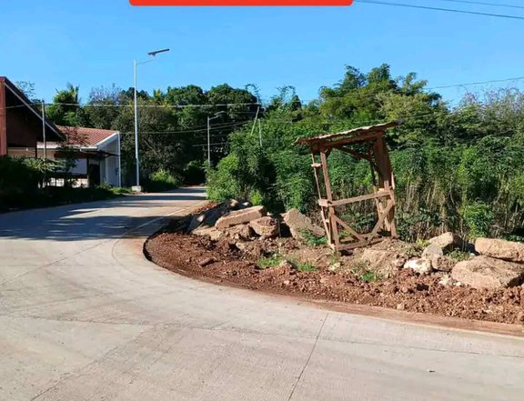150sqm Residential lot installment Alae Manolo fortich Bukidnoon mis.or