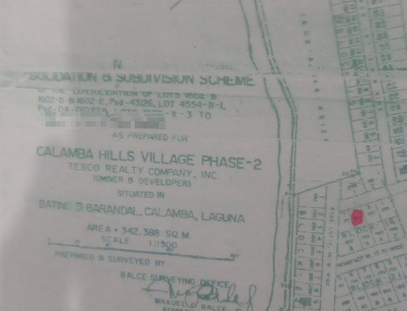 160 SQM residential lot for sale in calamba laguna
