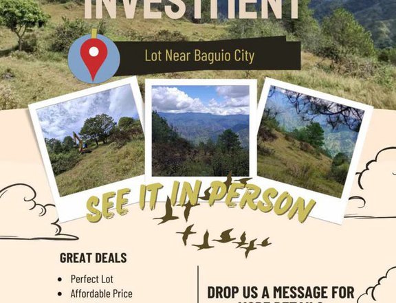 100 sqm Lot For Sale in Itogon Benguet