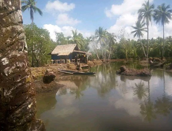 7 hectares lot for sale