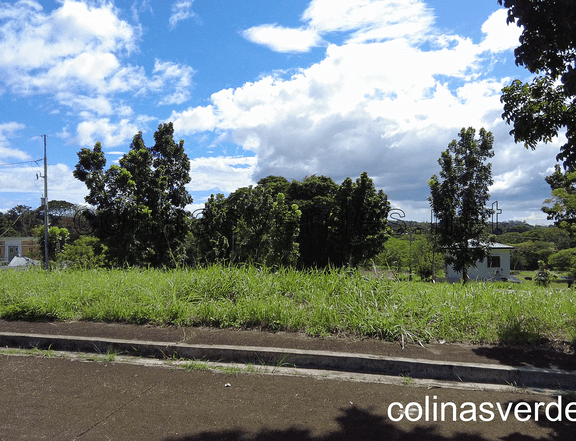 176 sqm Residential Lot For Sale in Colinas Verdes