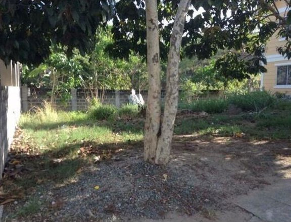 180 sqm Residential Lot For Sale in San Pedro Laguna, Philippines