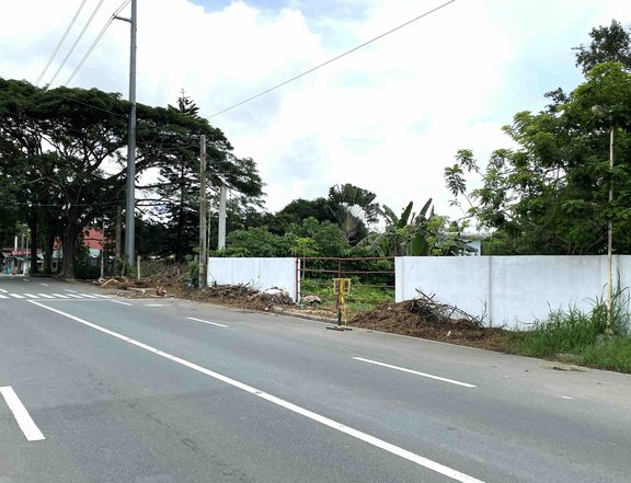 2048sqm TITLED LOT for sale. Amadeo, Cavite. Frontage to main highway