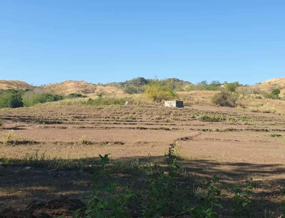 340000 sqm Residential Farm For Sale By Owner in Laur Nueva Ecija