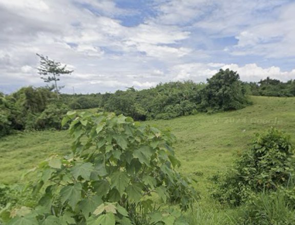 161 sqm Open Lot for Sale in Crescela  Overlooking, Prime & Peaceful