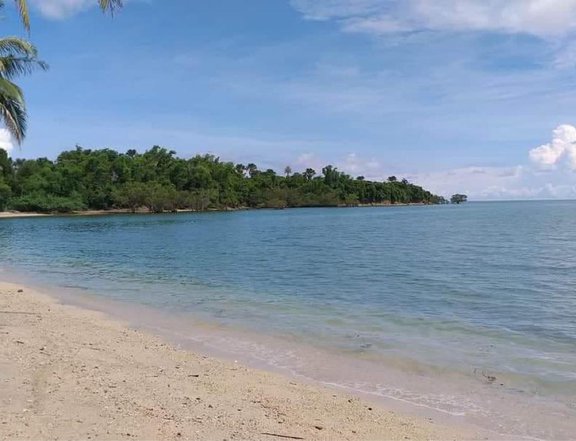 Premium Beachfront Lots in Padre Burgos, Quezon