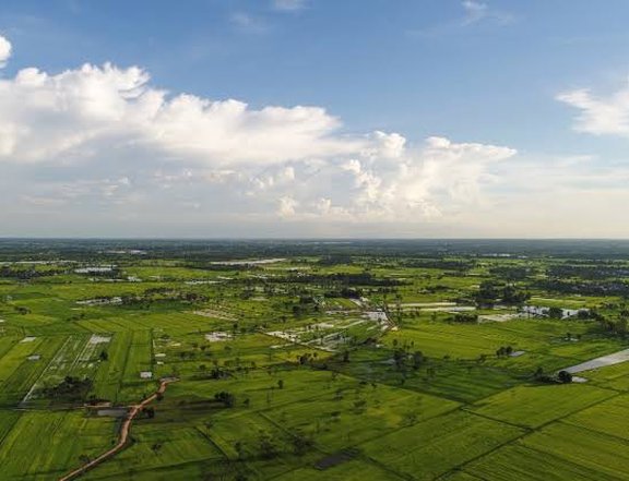 181 sqm Exclusive Property Lot in Crescela Nuvali  Enjoy Spacious Views and Amenities