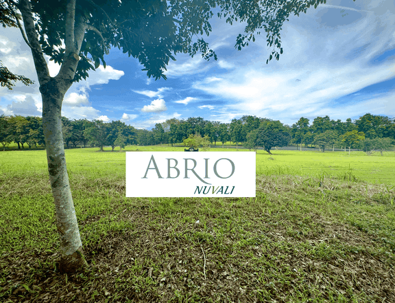 Abrio Nuvali for Sale, Phase 2 (1,117 sqm)