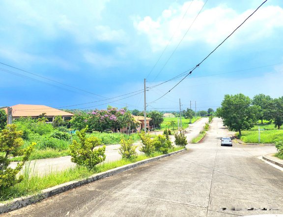 Bargain 120 sqm Residential Lot For Sale in Calamba Laguna