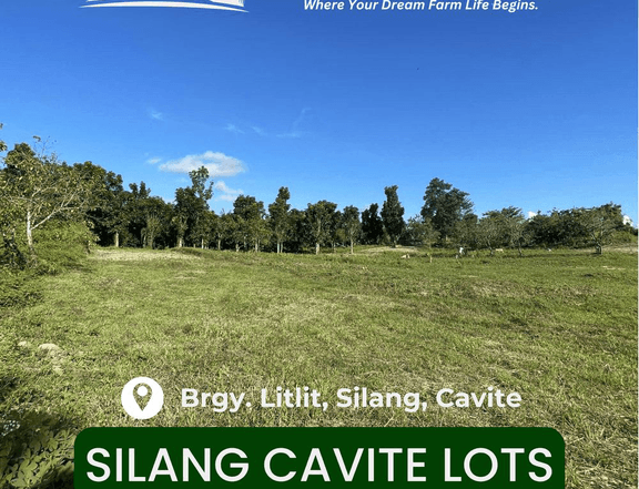 150 sqm Farm Lot For Sale in Silang Cavite