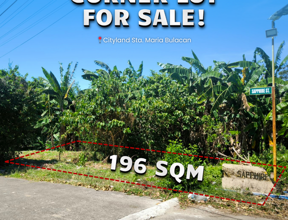 196 sqm Residential Lot For Sale in Santa Maria Bulacan