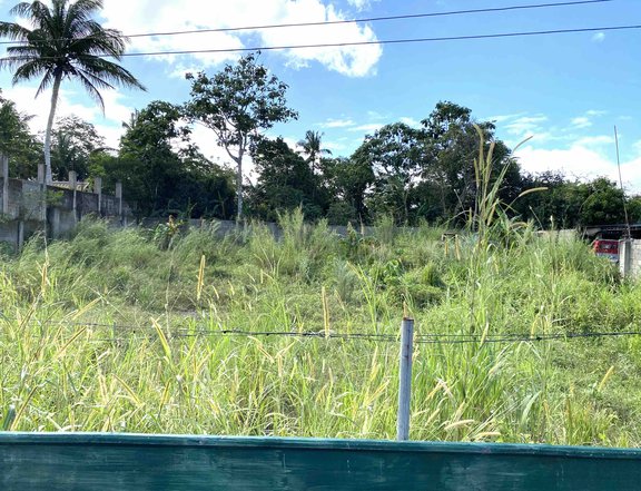 1200sqm lot for sale with 35m frontage to Crisanto, Amadeo. P18m