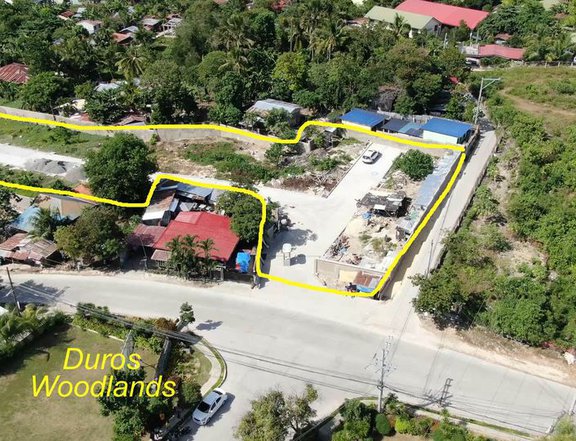 3811 sqm Residential Developed Property Lot in Liloan