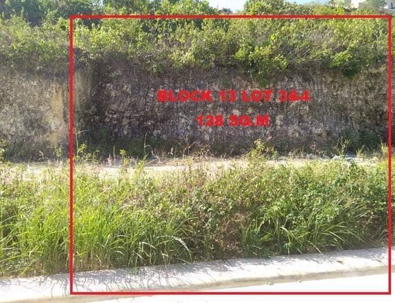 Residential Lot for Sale in St Francis Hills Consolacion Cebu