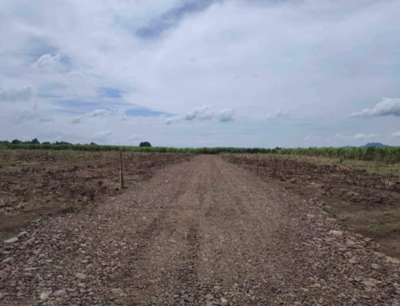 FARM LOTS AVAILABLE IN TUY BATANGAS