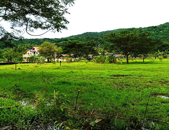 10,000 SQM Farm Lot for Sale in Jala-Jala, Rizal  Prime Spot Next to Laguna Lakeshore Expressway