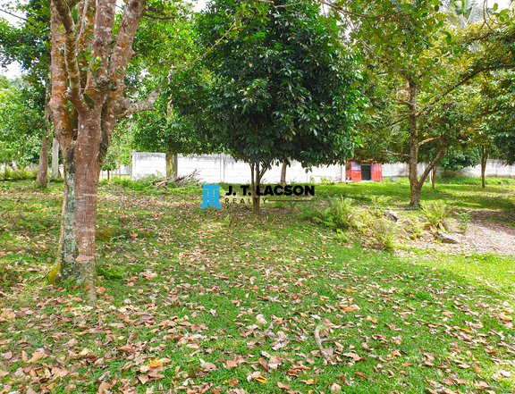 Subdivided Lots for Sale in Valencia, Negros Oriental