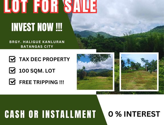 LOT FOR SALE -300 sqm Residential Farm For Sale in Batangas City Batangas