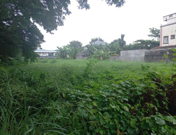 785sqm Residential lot for Sale in Multinational Village Brgy Moonwalk Paranaque City